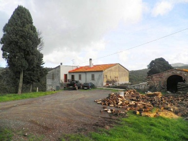 Foto Rustico in località Pantano, Riparbella di 1600 m² con 25 locali