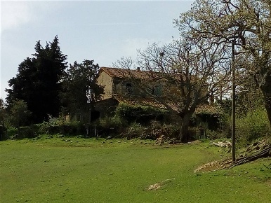 Foto Rustico a Scansano Centro di 300 m² con 10 locali in vendita