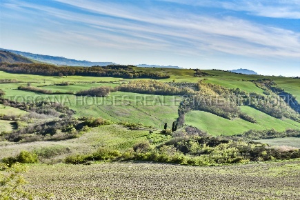Foto Rustico a Radicofani Centro di 328 m² con 7 locali in vendita