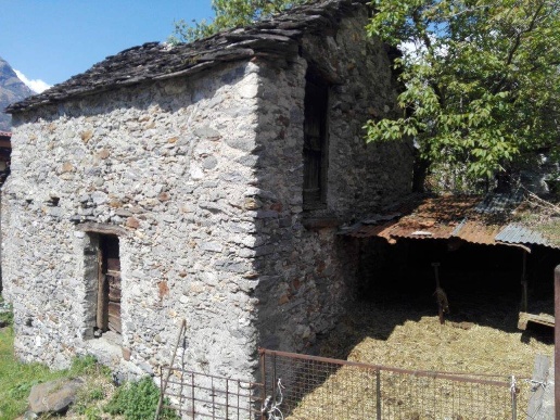 immagine annuncio 4 di 13