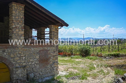 Foto Rustico a Acqui Terme di 300 m² con 8 locali in vendita
