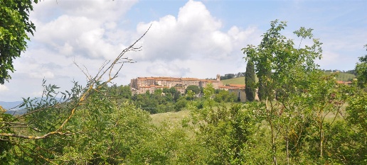 Foto Rustico in Strada Provinciale dei Quattro Comuni, Monteverdi Marittimo