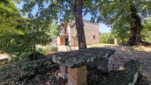 immagine annuncio 6 di 14