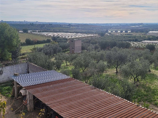 immagine annuncio 7 di 12