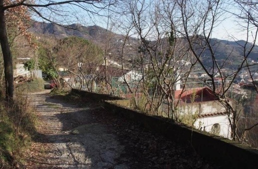 immagine annuncio 10 di 13