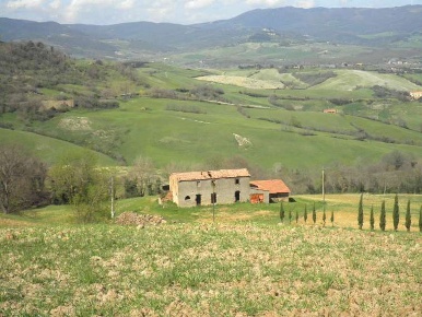 Foto Rustico a Casale Marittimo di 250 m² con 8 locali in vendita