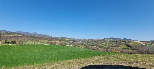 immagine annuncio 10 di 13