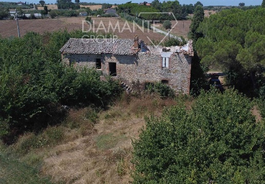 immagine annuncio 9 di 14