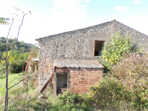 immagine annuncio 7 di 14