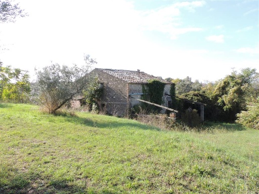immagine annuncio 11 di 14