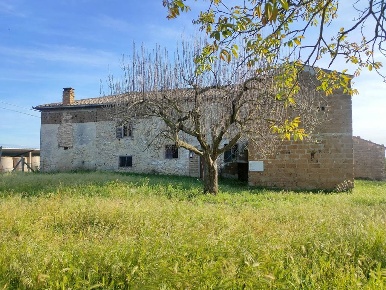 Foto Rustico a Calvi dell'Umbria di 625 m² con 11 locali in vendita