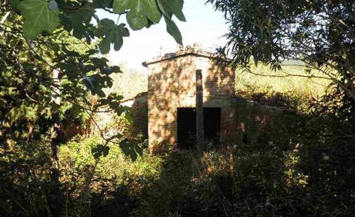 immagine annuncio 10 di 12