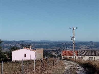 Foto Rustico a Scansano Murci di 140 m² con 6 locali in vendita