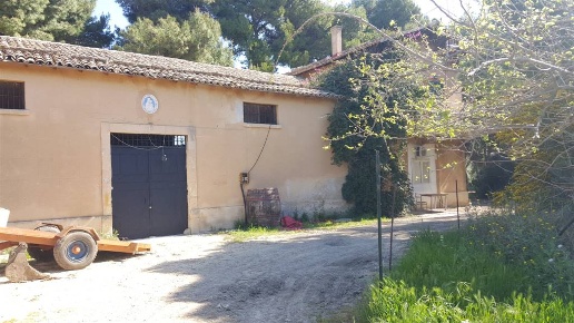 immagine annuncio 2 di 14