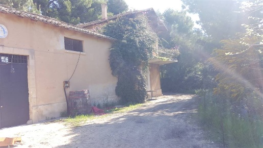 immagine annuncio 3 di 14