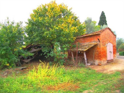 immagine annuncio 3 di 6