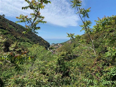 Foto Rustico in Via Alcide De Gasperi, Riomaggiore Centro di 26 m²