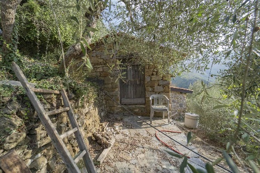 immagine annuncio 7 di 13
