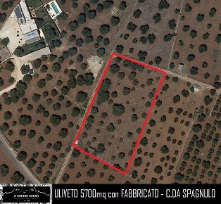 Foto Rustico a Ostuni Via Ludovico, Corso Umberto I, Vittorio Emanuele