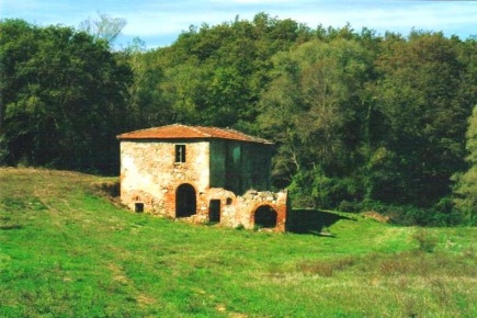 Foto Rustico a Torrita di Siena Centro di 250 m² con 1 locali in vendita