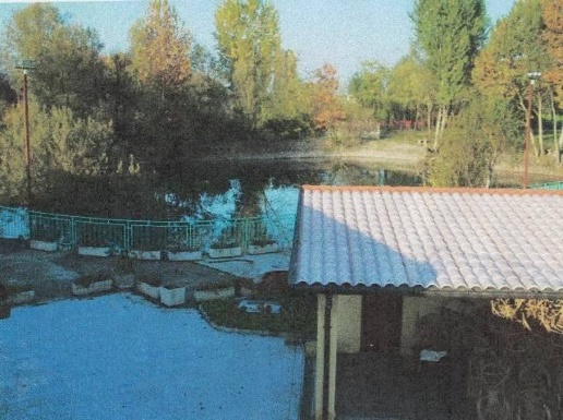 immagine annuncio 5 di 11