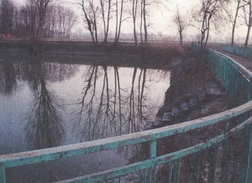 immagine annuncio 7 di 11