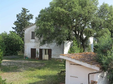 Foto Rustico a Magliano in Toscana di 700 m² con 5 locali in vendita