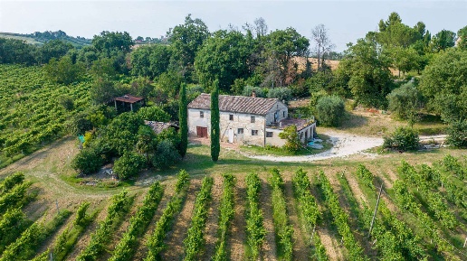 Foto Rustico a Monte Roberto di 360 m² con 8 locali in vendita