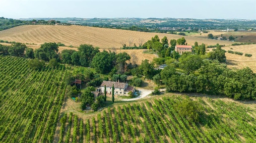 immagine annuncio 2 di 13