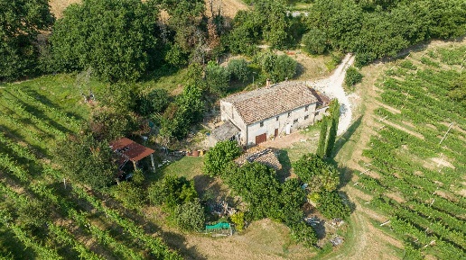immagine annuncio 3 di 13