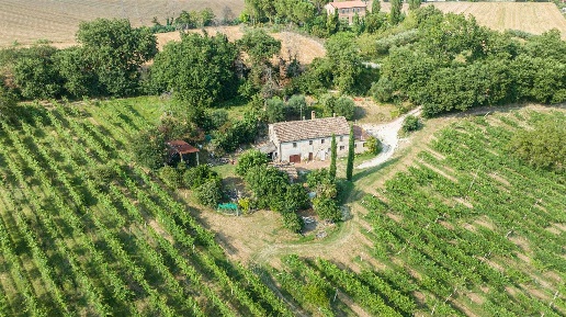 immagine annuncio 9 di 13