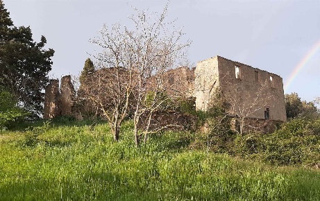 Foto Rustico in Via vicinale di Zambra, Volterra di 600 m² con 13 locali