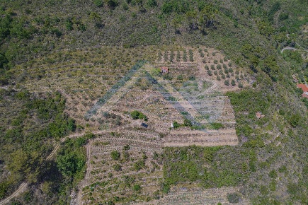 Foto Rustico a Seborga di 100 m² con 4 locali in vendita