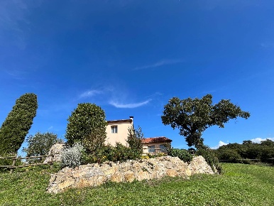 Foto Rustico a Scansano Centro di 350 m² con 11 locali in vendita