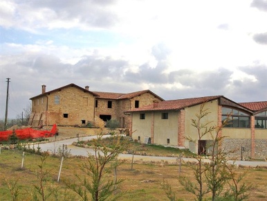 Foto Rustico a Asciano Centro di 600 m² con 1 locali in vendita
