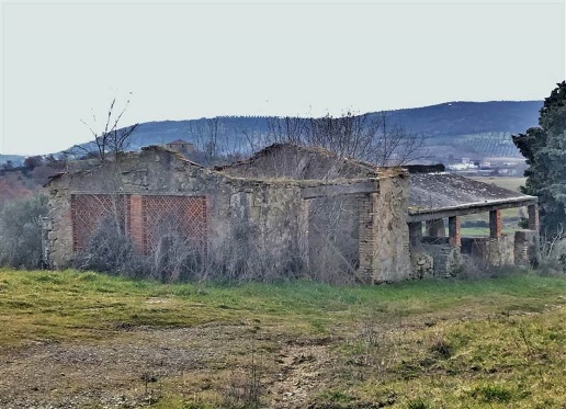 immagine annuncio 5 di 12