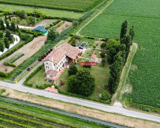immagine annuncio 4 di 14