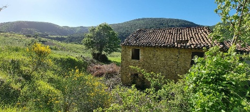 immagine annuncio 3 di 7