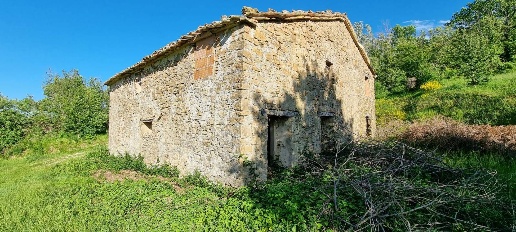 immagine annuncio 4 di 7