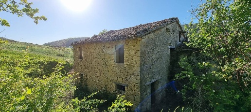 immagine annuncio 5 di 7