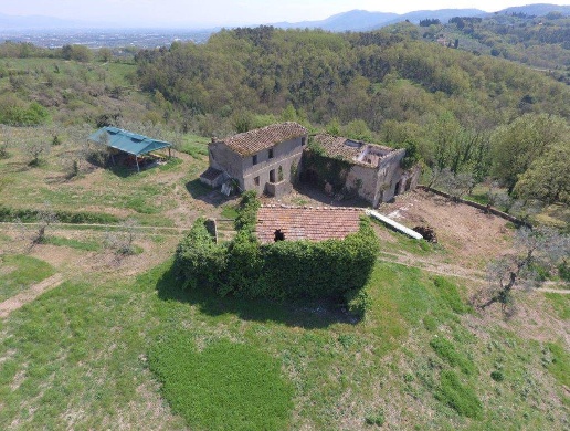 immagine annuncio 2 di 4