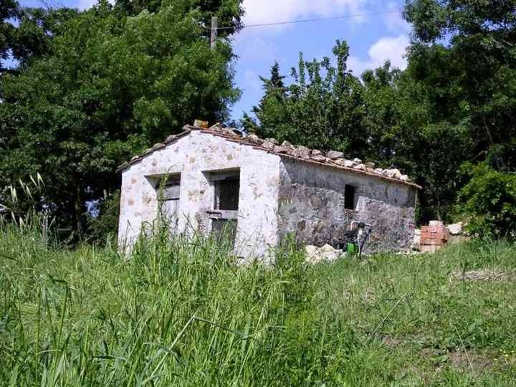 immagine annuncio 1 di 6