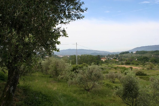 immagine annuncio 3 di 7