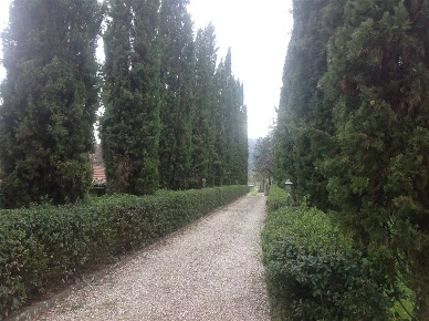 Foto Rustico in VIA BEATO ANGELICO   2222, Vicchio Centro di 400 m²