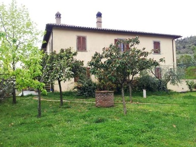 Foto Rustico a Cortona di 450 m² con 15 locali in vendita