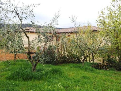 immagine annuncio 11 di 14