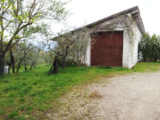 immagine annuncio 12 di 14