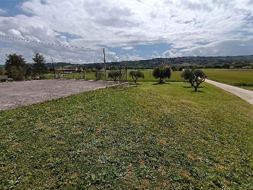 immagine annuncio 5 di 12