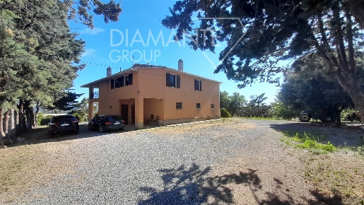 Foto Cessione attività a Magliano in Toscana Centro di 450 m² con 7 locali