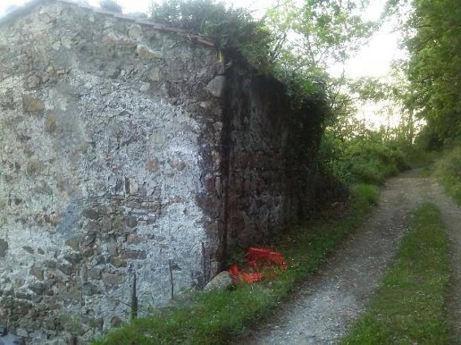 immagine annuncio 2 di 4